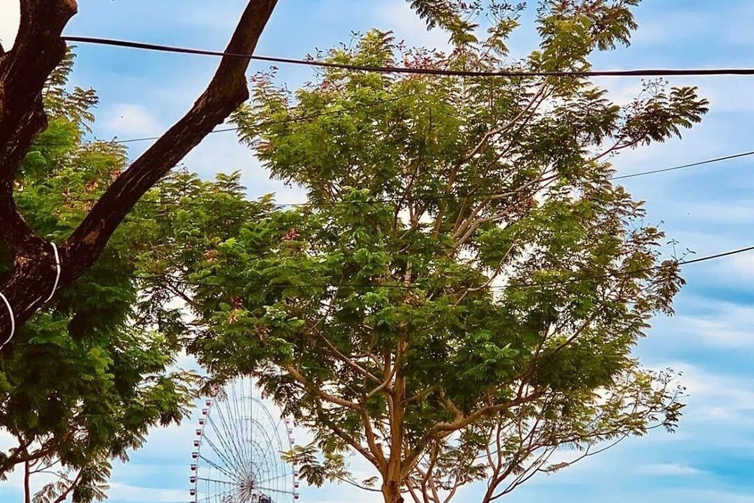 Photo of Outdoor in Hoa Vang