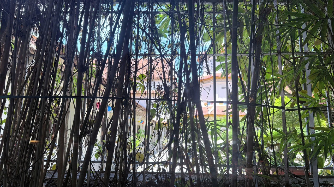 Photo of Outdoor in Hoa Vang