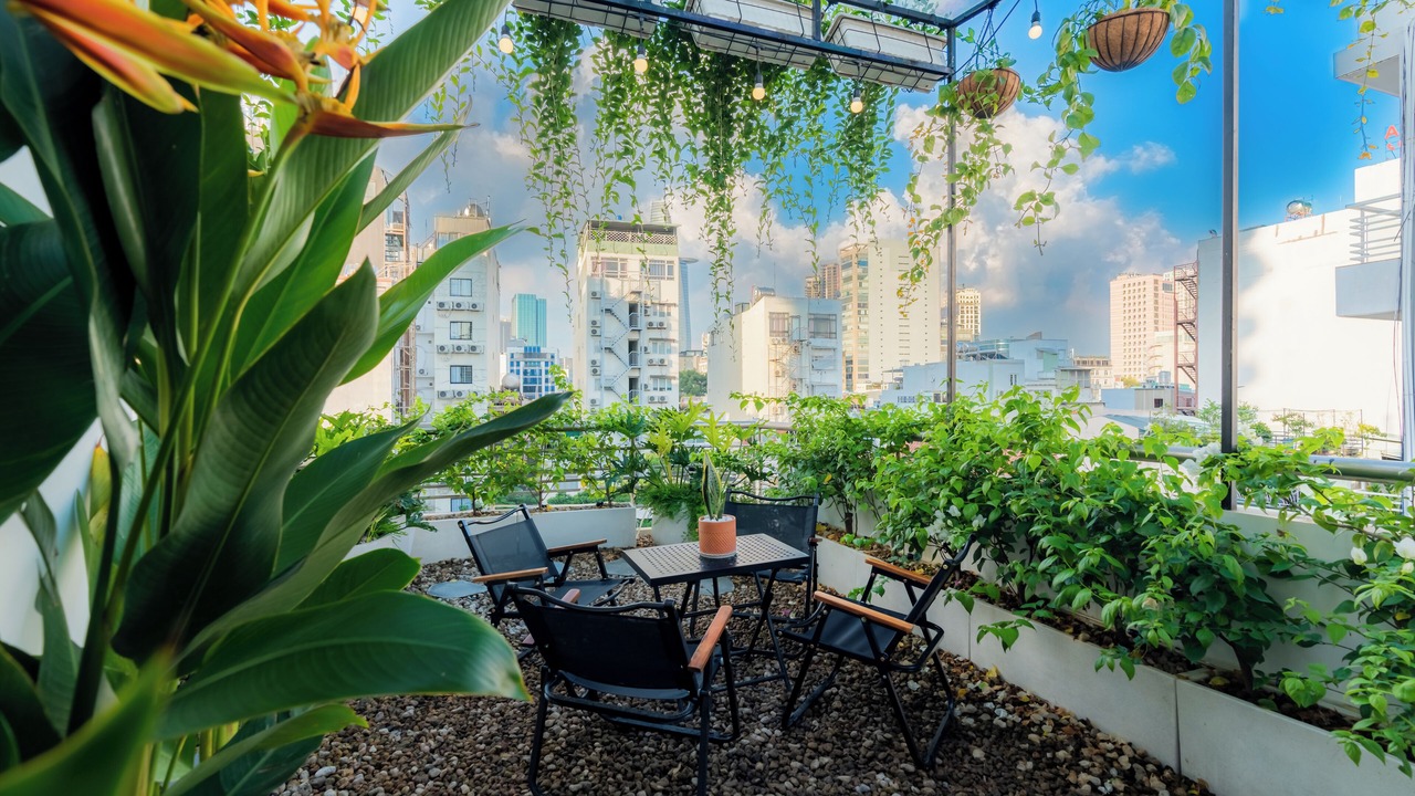 Photo of Outdoor in Nguyen Thai Binh