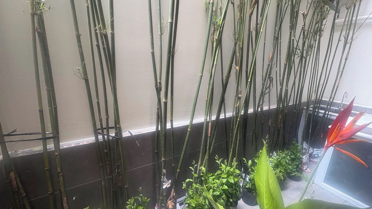 Photo of Outdoor in Phuong 6