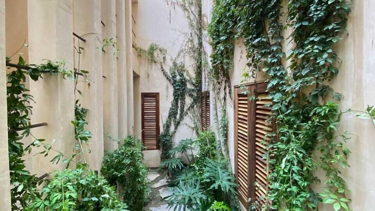 Photo of Outdoor in Brisas de Zicatela