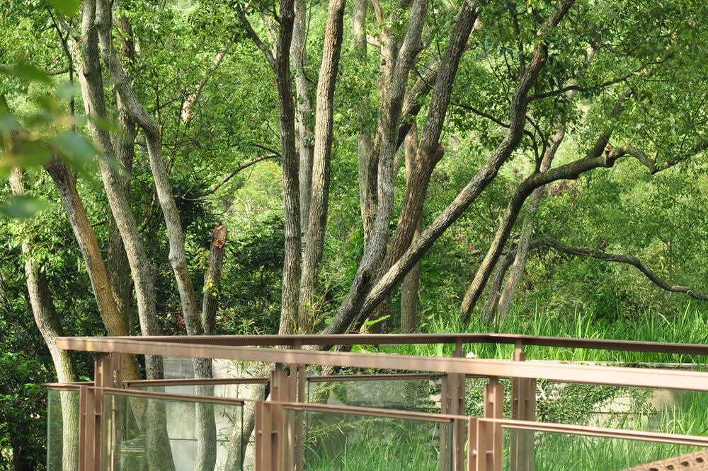 Photo of Patio Balcony in Sanyi