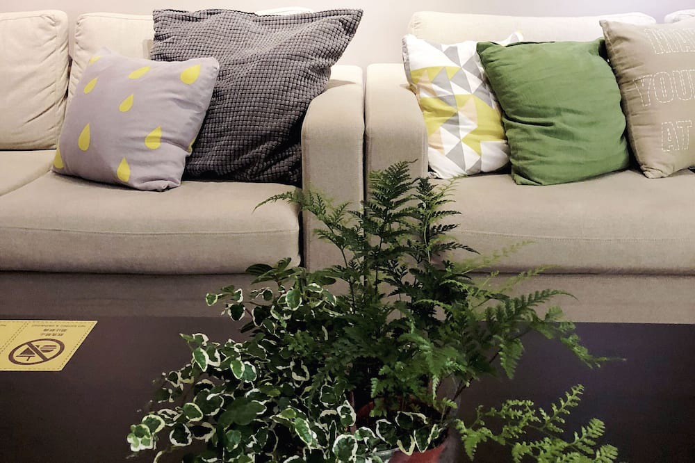 Photo of Livingroom in Sinsing District