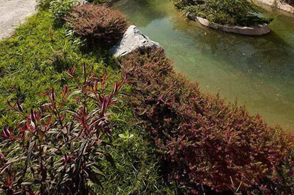 Photo of Outdoor in Shoufeng