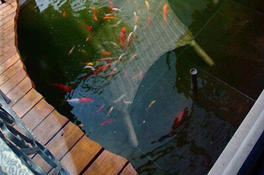 Photo of Outdoor in Shoufeng