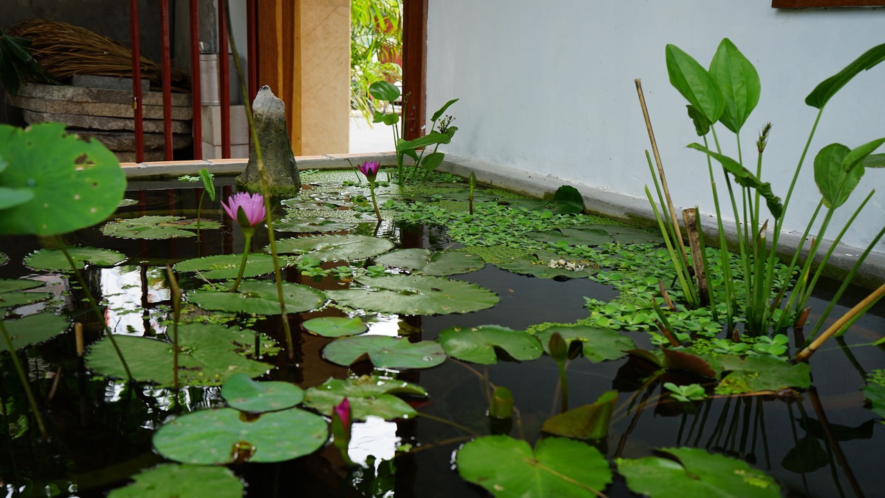 Photo of Others in Vinh Hai