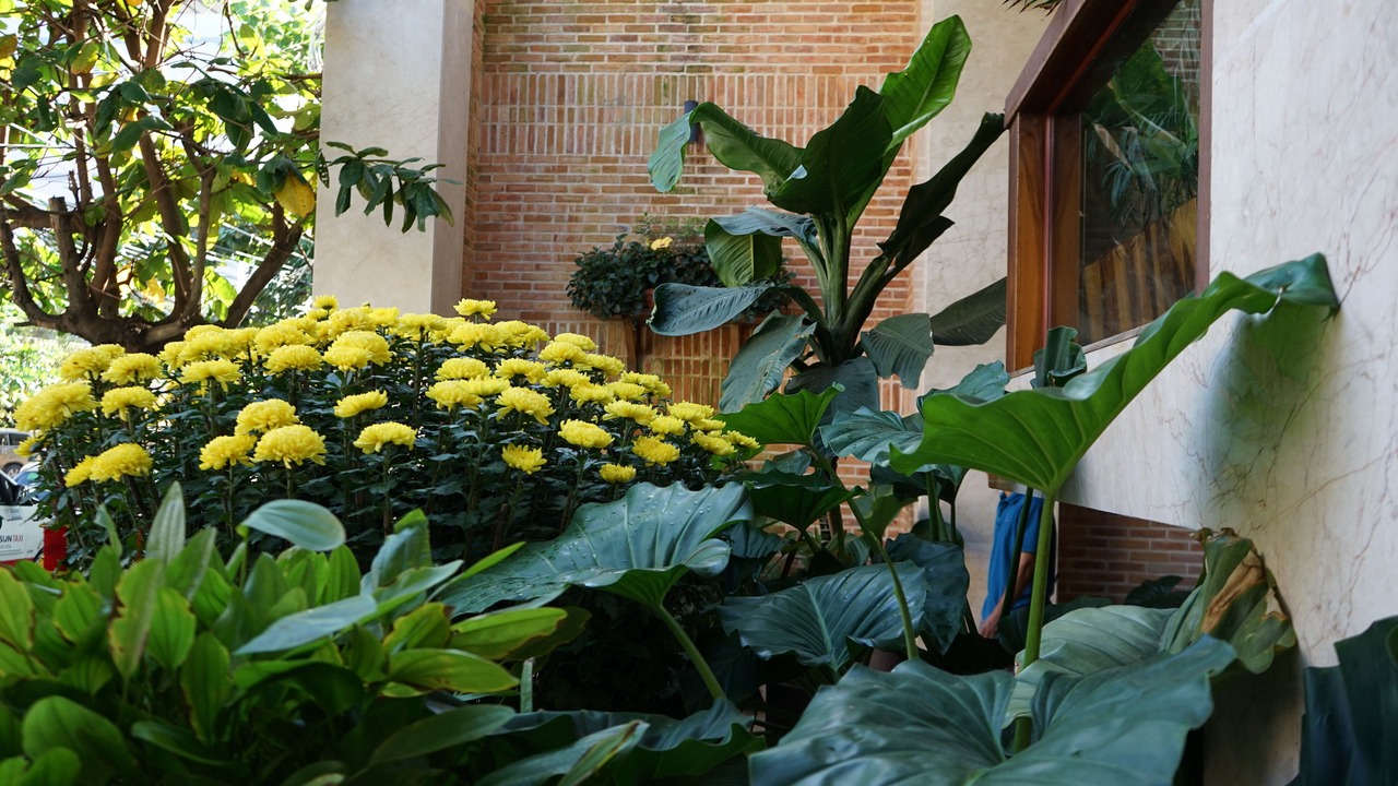 Photo of Outdoor in Vinh Hai