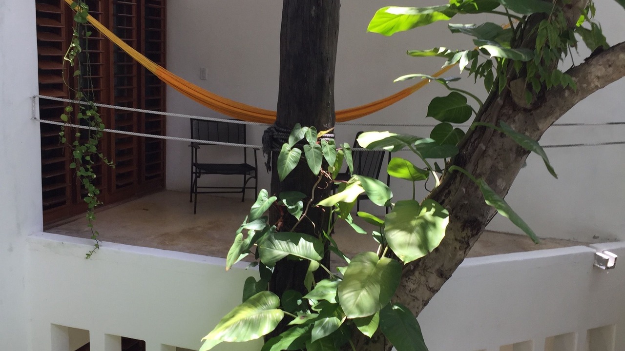 Photo of Bedroom in Colonia Centro