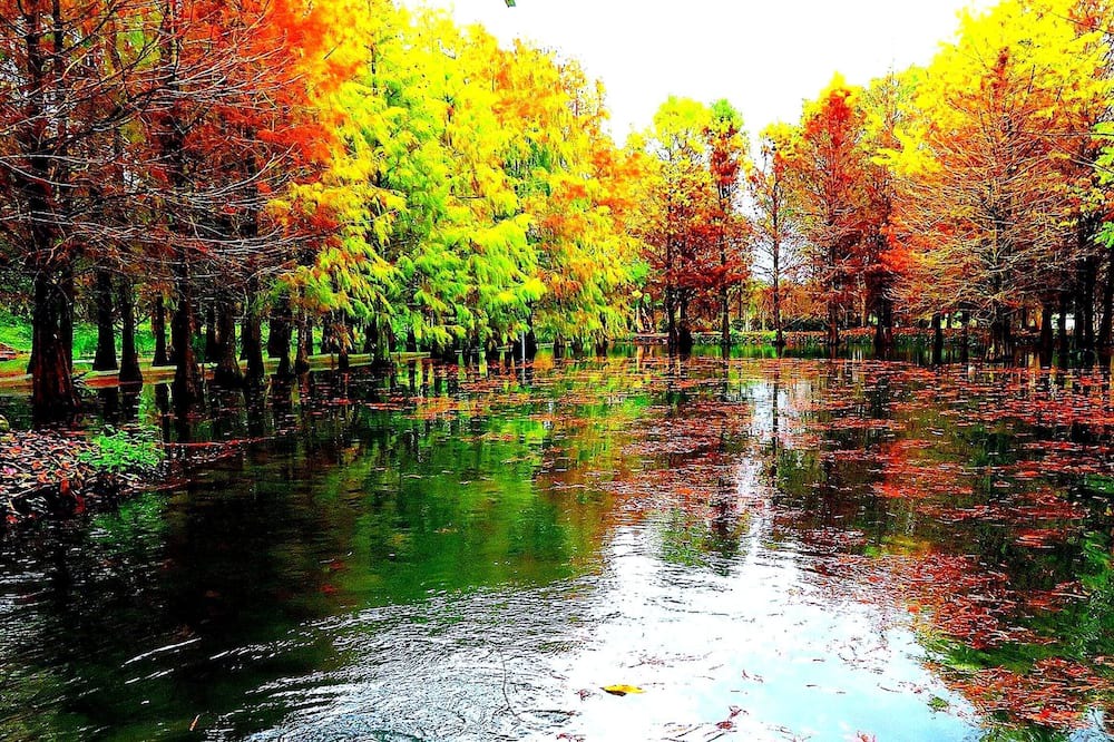 Photo of Outdoor in Ji'an