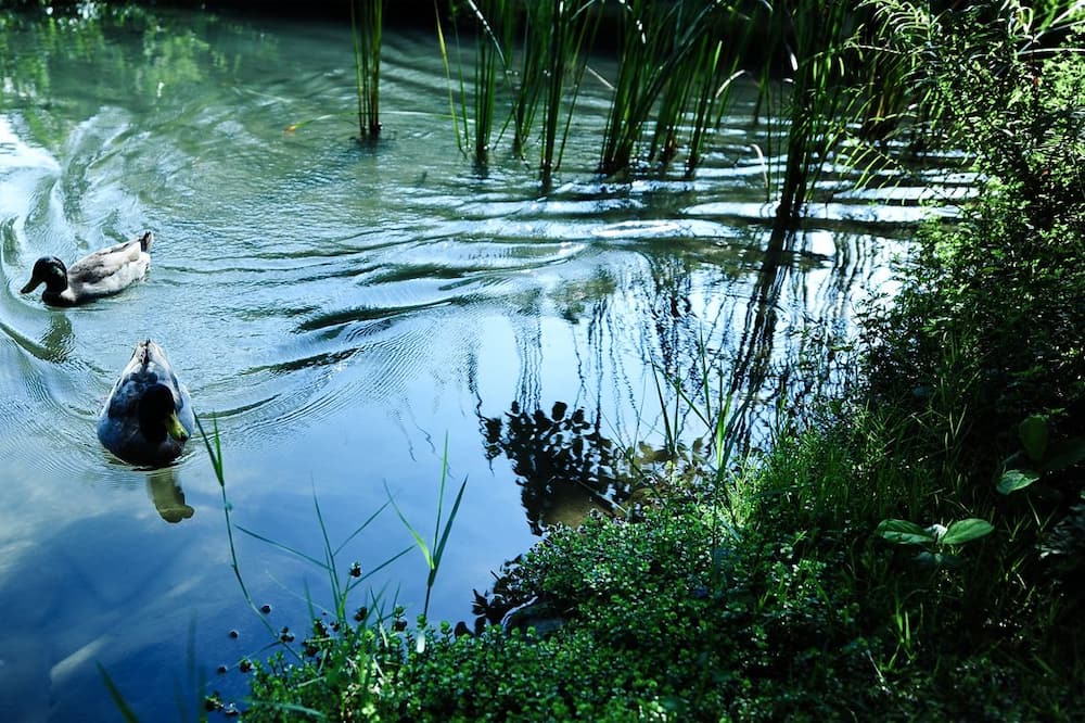 Photo of Outdoor in Mudan