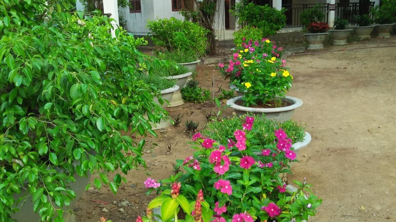 Photo of Outdoor in Xuyen Moc