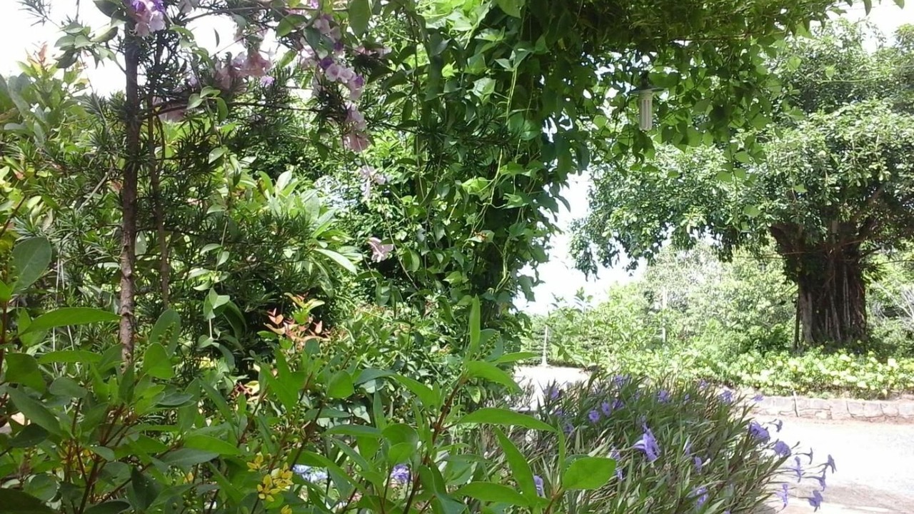 Photo of Outdoor in Xuyen Moc