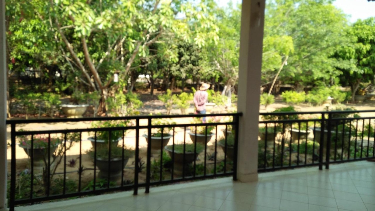 Photo of Others in Xuyen Moc