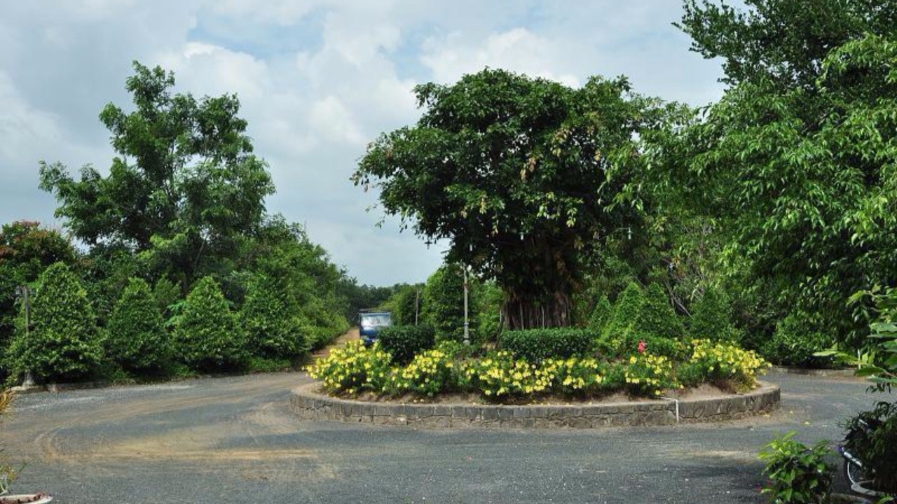 Photo of Outdoor in Xuyen Moc