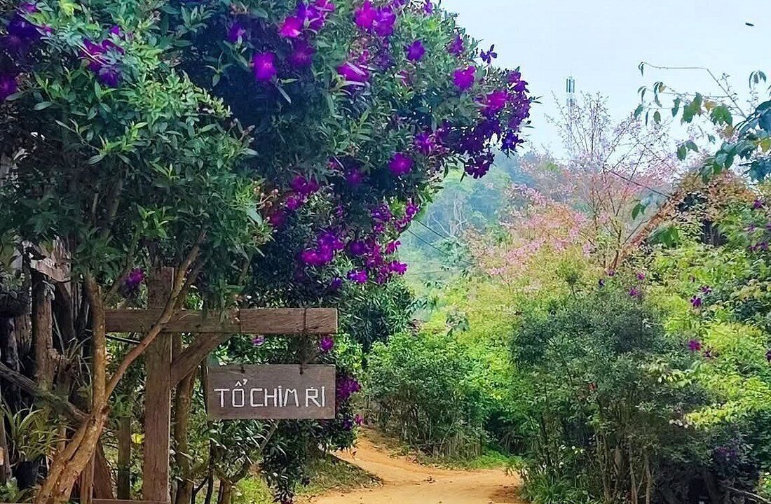 Photo of Outdoor in Kon Plong