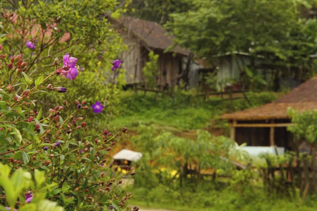 Photo of Outdoor in Kon Plong