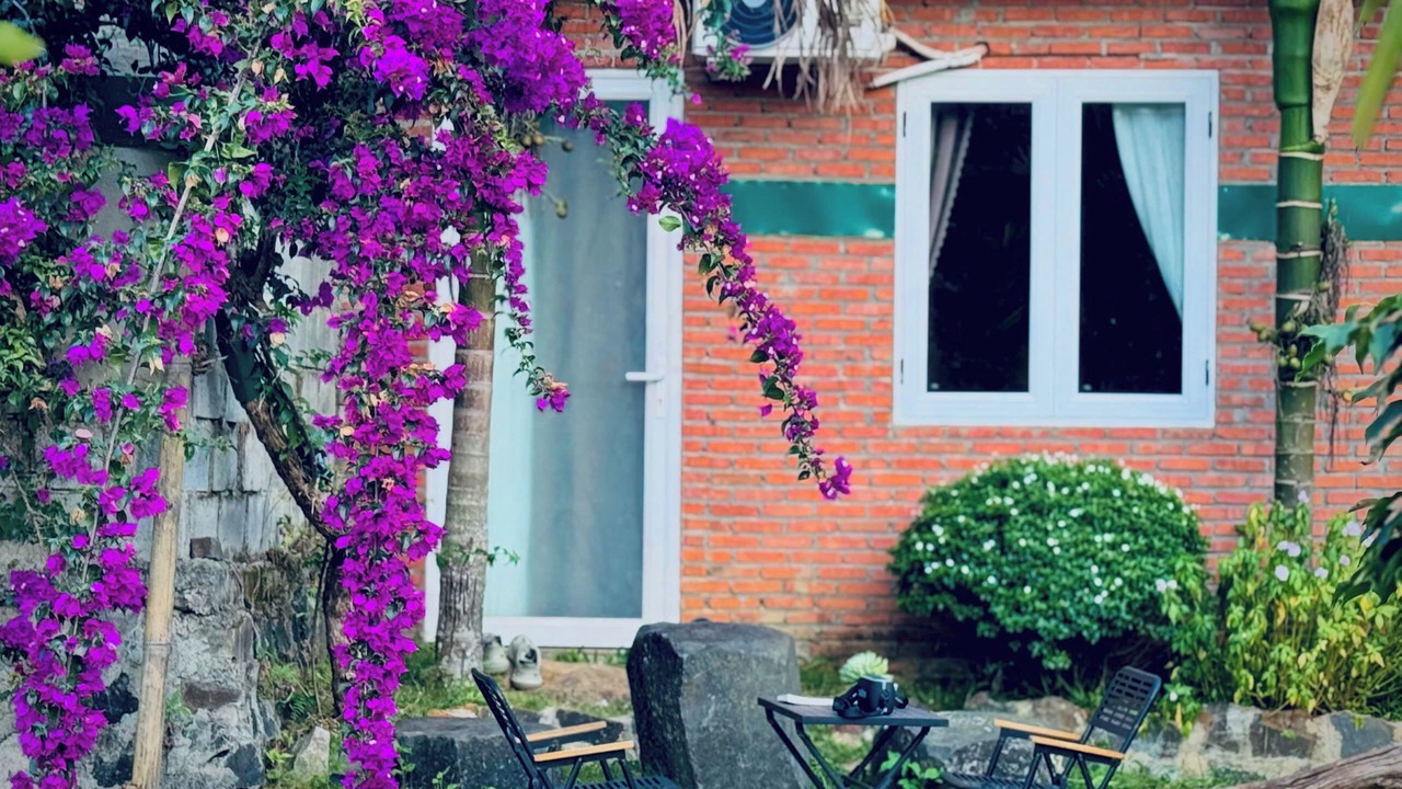 Photo of Outdoor in Gia Nghia