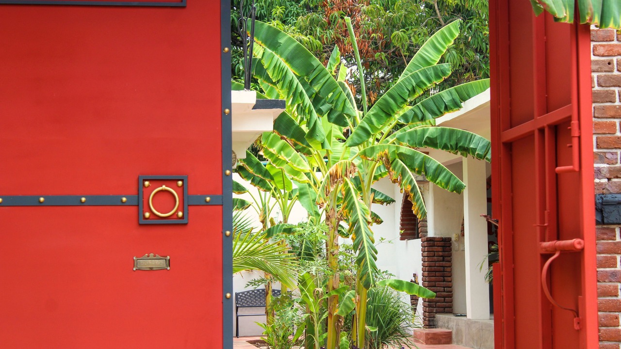 Photo of Outdoor in Puerto Escondido