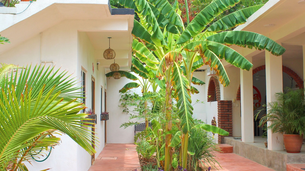 Photo of Outdoor in Puerto Escondido