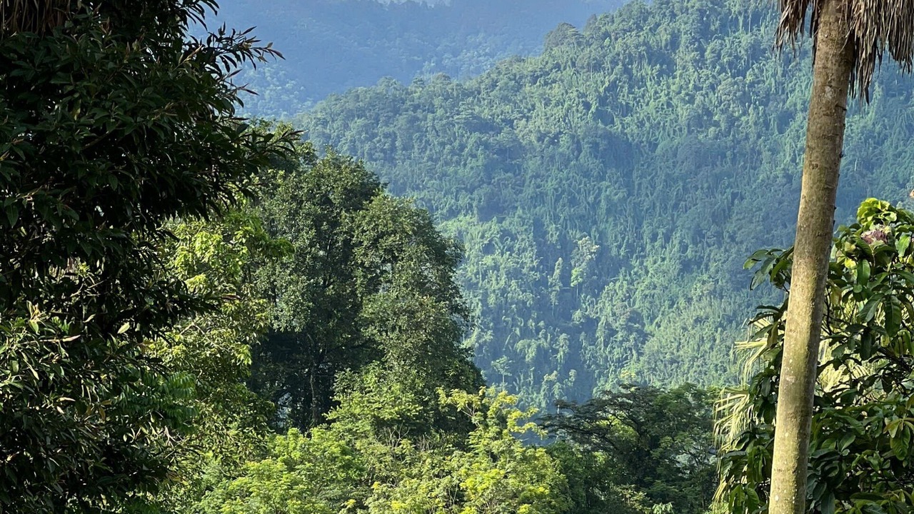 Photo of Outdoor in Da Bac