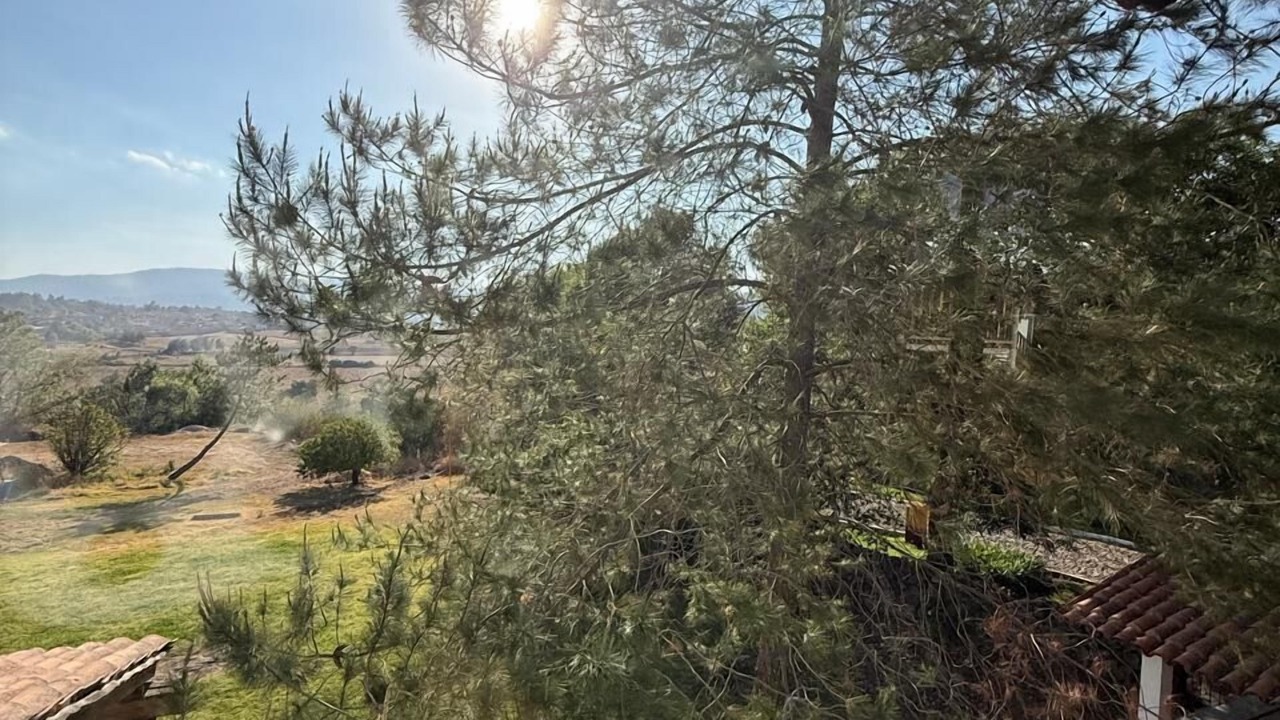 Photo of Outdoor in Tapalpa