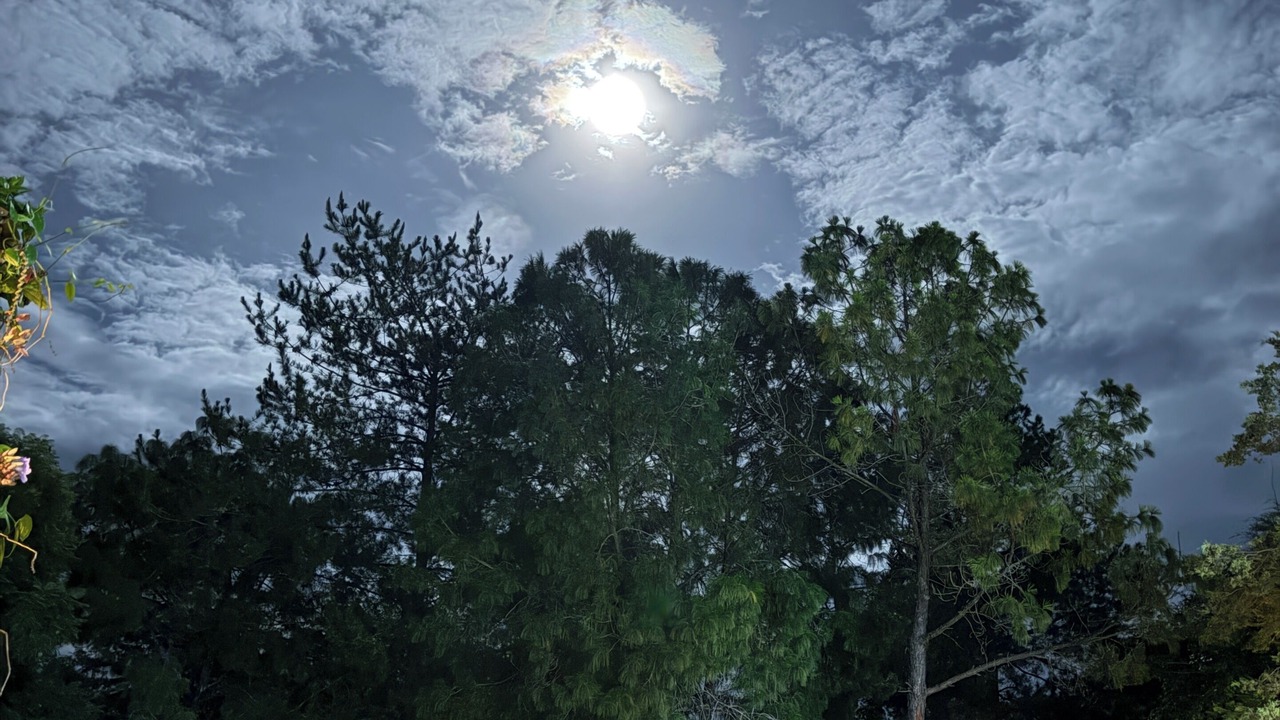 Photo of Outdoor in Tapalpa