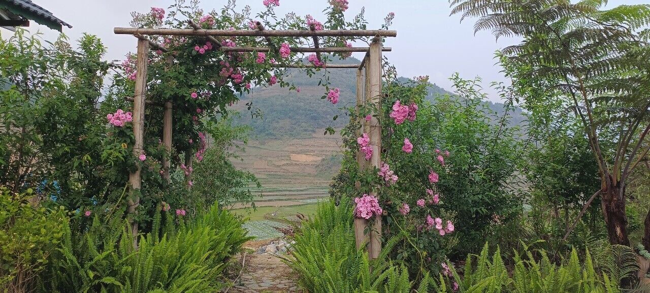 Photo of Outdoor in Quan Ba