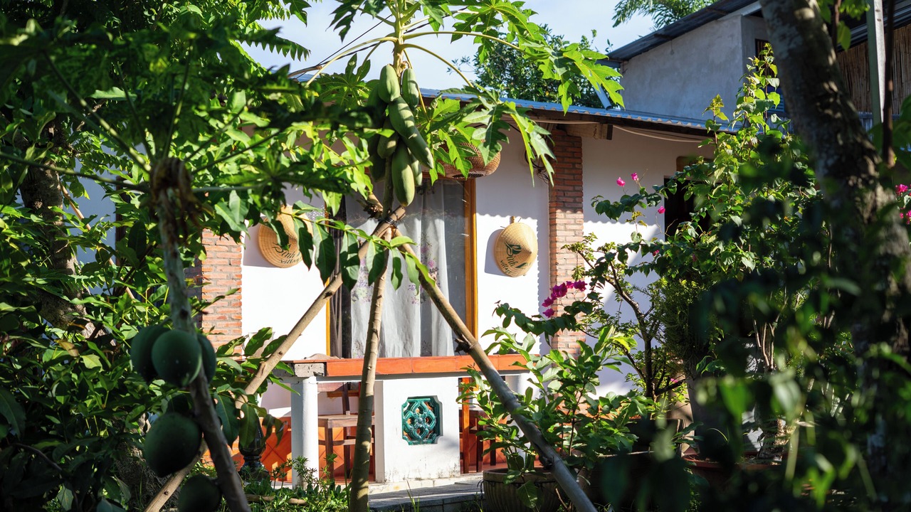 Photo of Outdoor in Long Ho