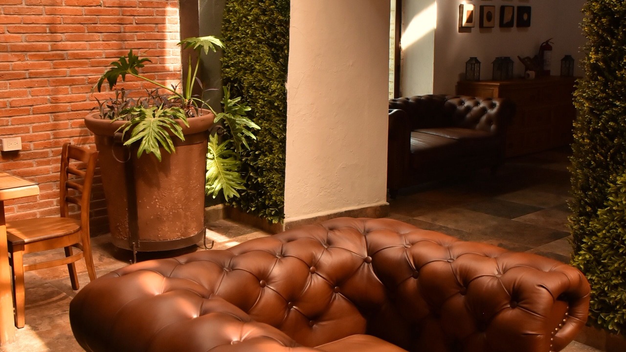 Photo of Livingroom in Guanajuato