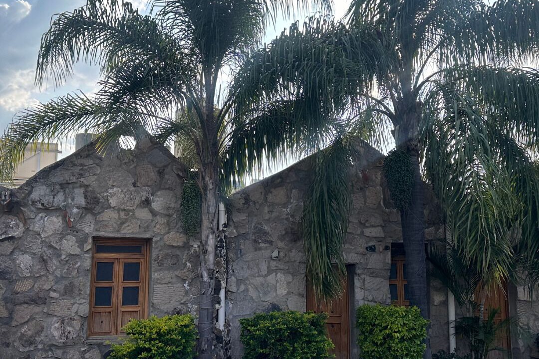 Photo of Outdoor in Tequila