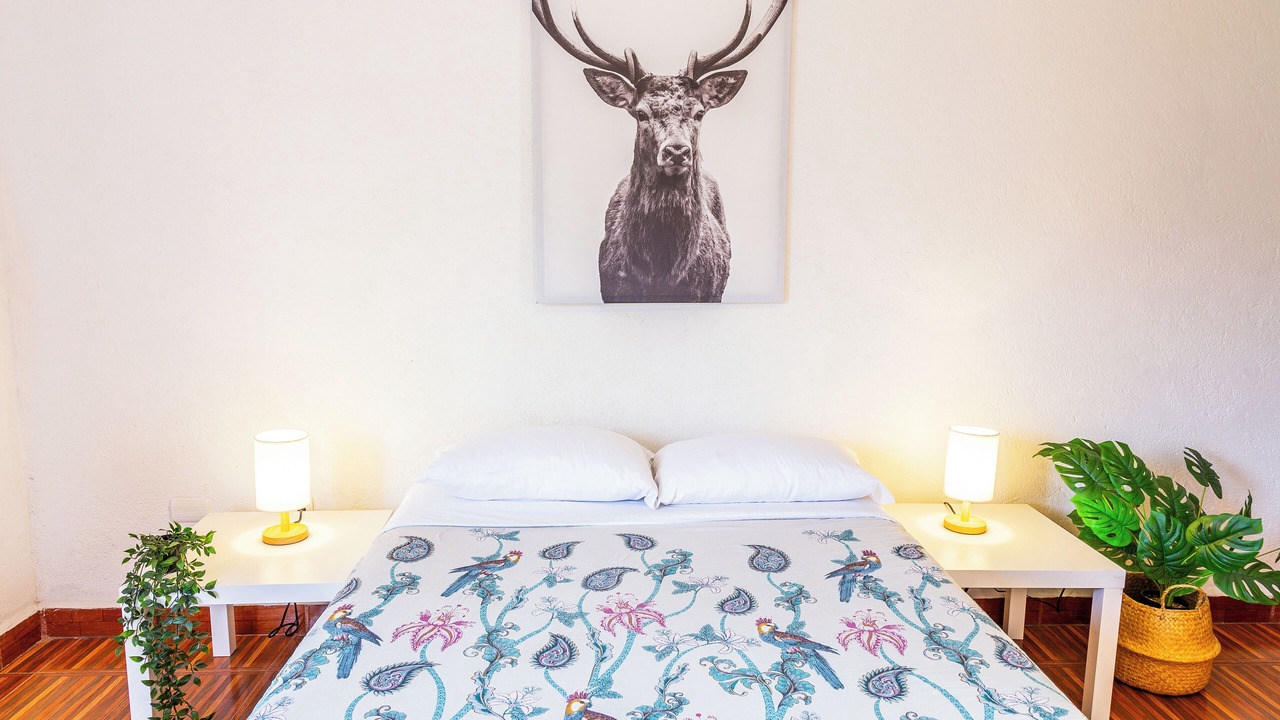 Photo of Bedroom in Tepoztlan