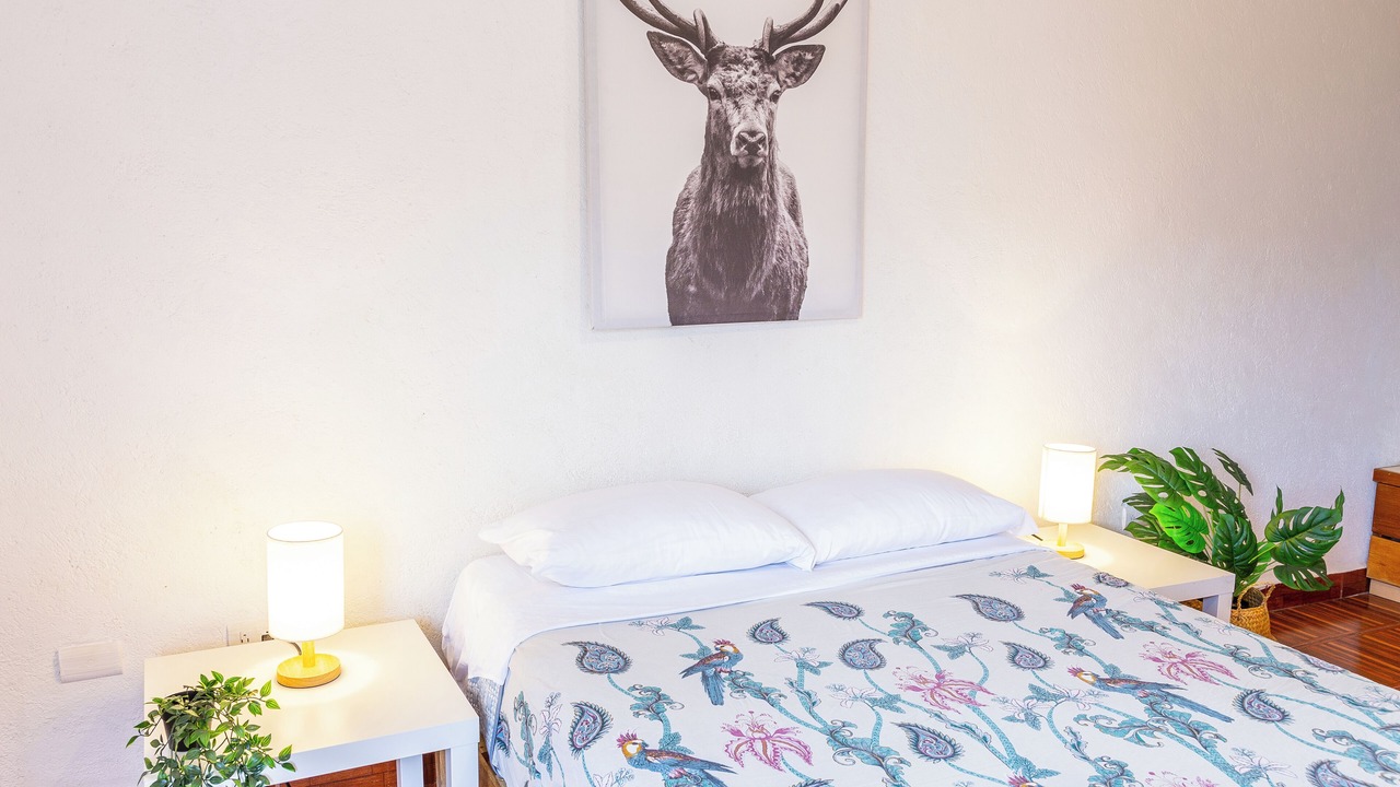 Photo of Bedroom in Tepoztlan
