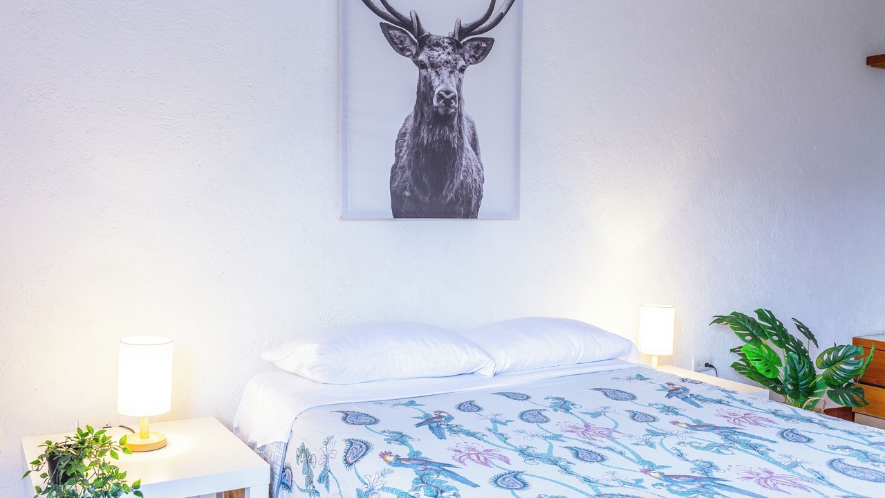 Photo of Bedroom in Tepoztlan