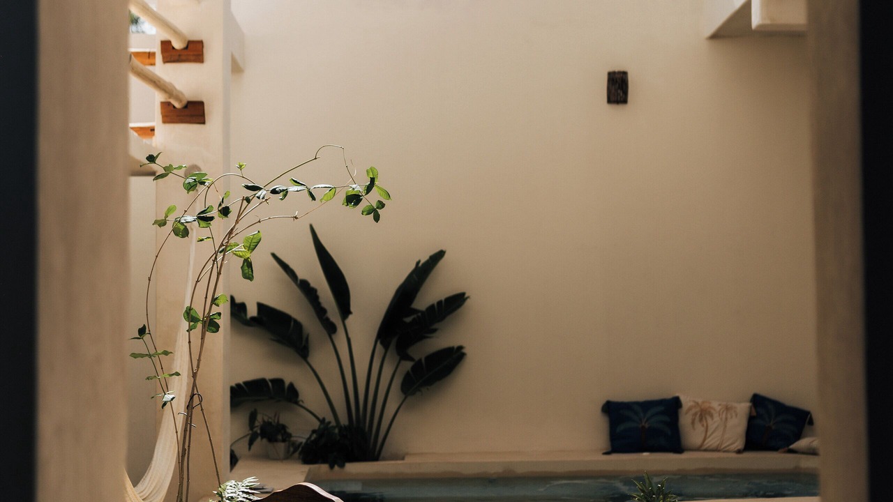 Photo of Livingroom in Colonia Centro