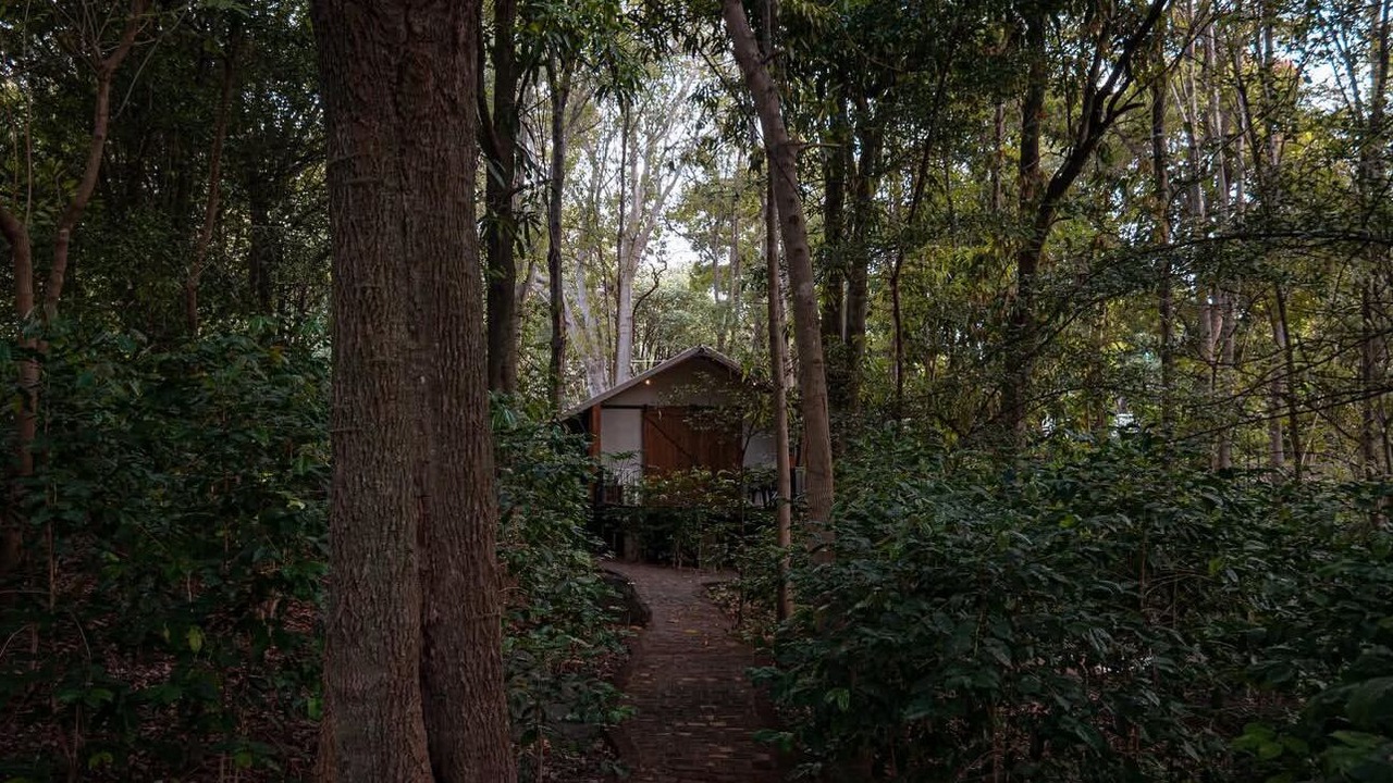 Photo of Outdoor in Amacueca