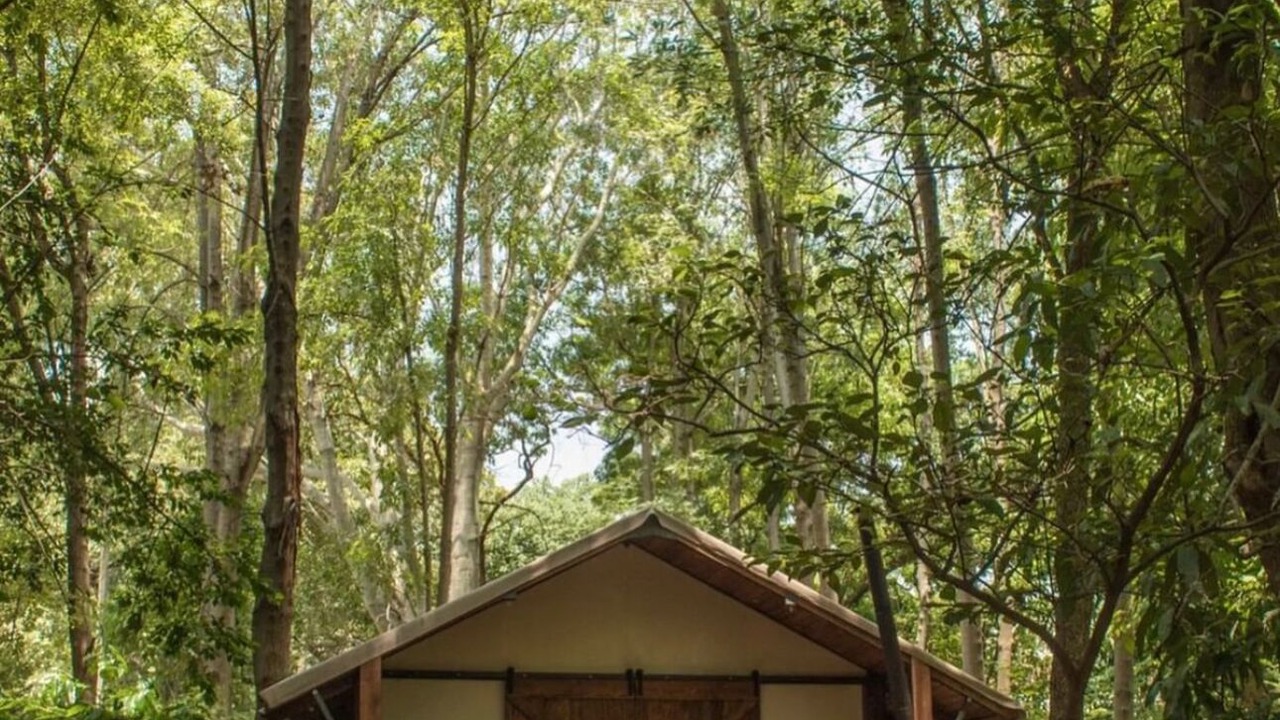 Photo of Outdoor in Amacueca