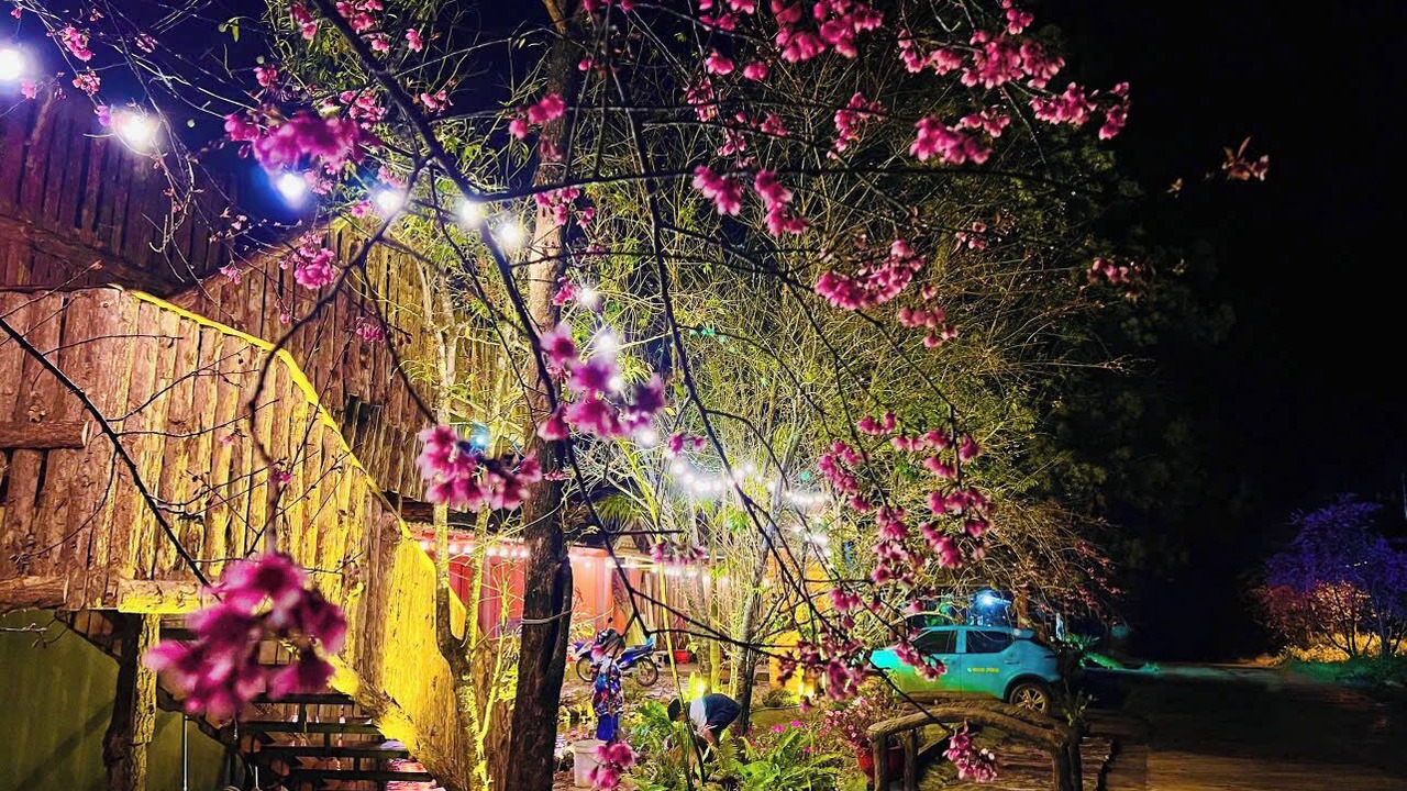 Photo of Outdoor in Kon Plong