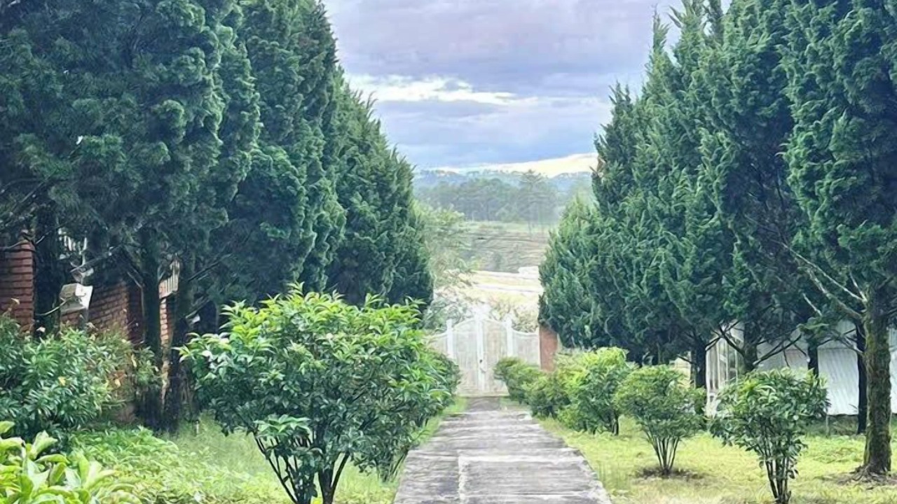 Photo of Outdoor in Da Lat