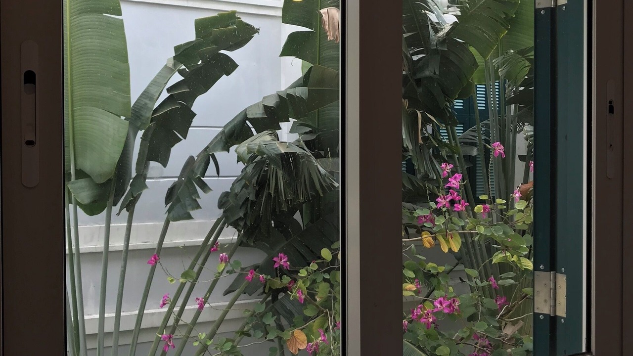 Photo of Others in Duong To