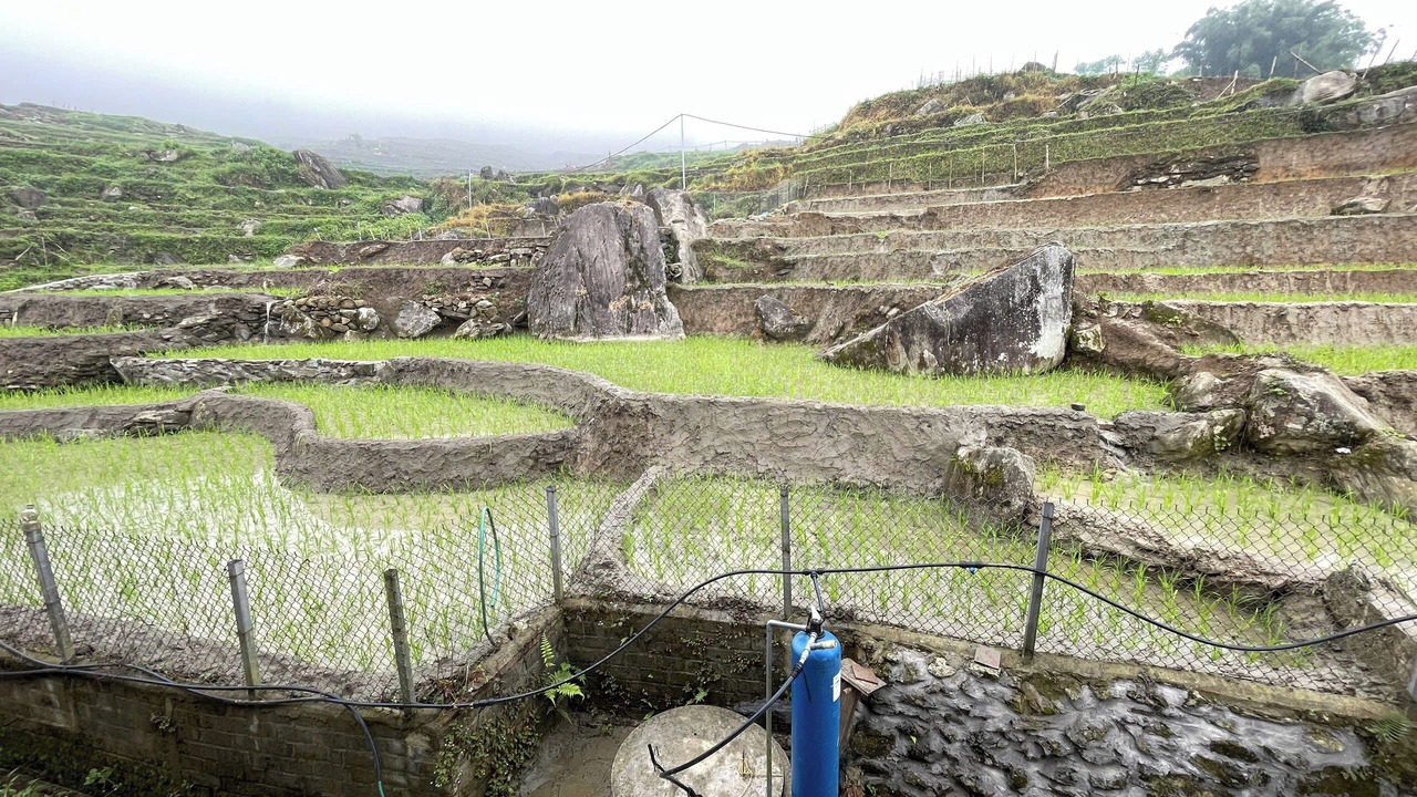 Photo of Others in Sa Pa