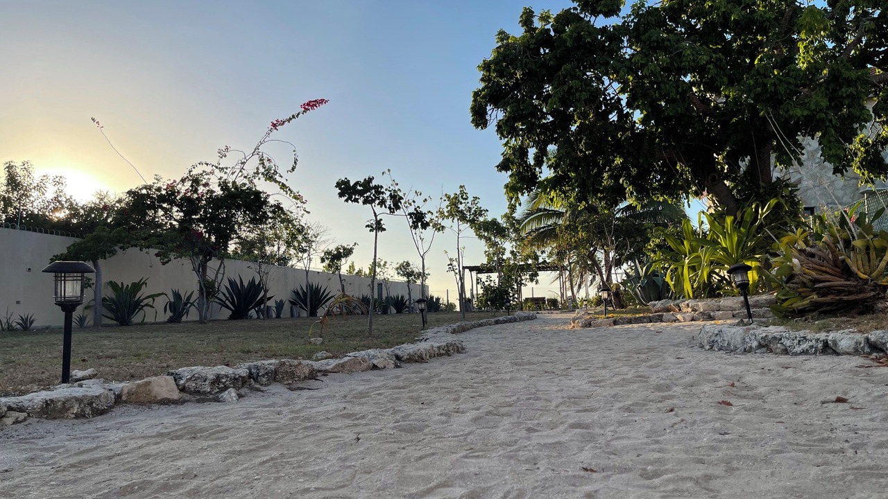 Photo of Outdoor in Celestun