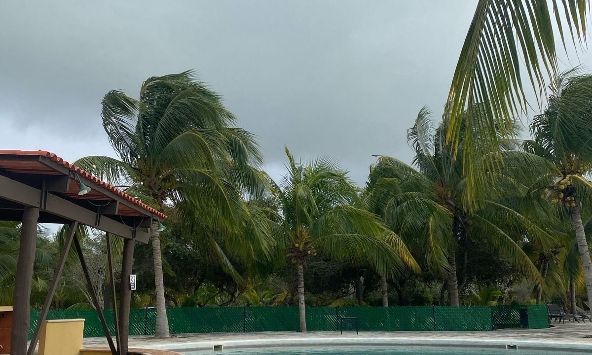 Photo of Outdoor in Celestun