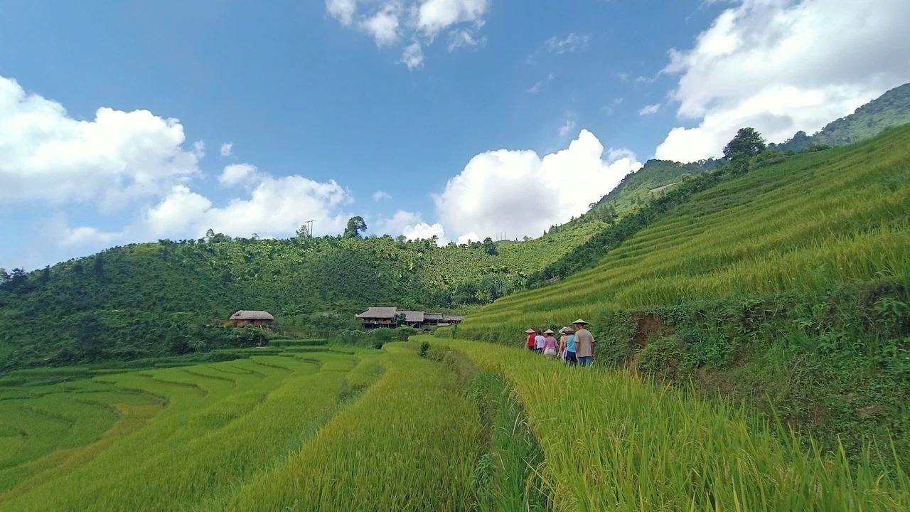 Photo of Others in Bac Ha
