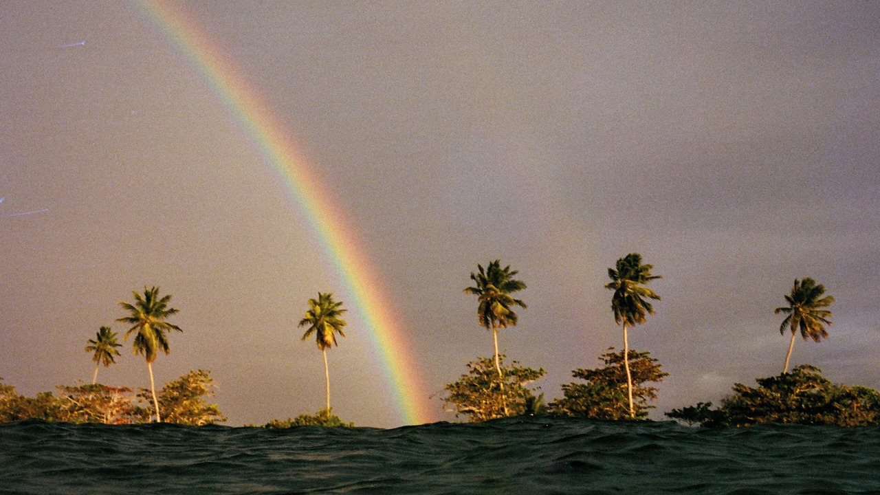 Photo of Others in Saladita