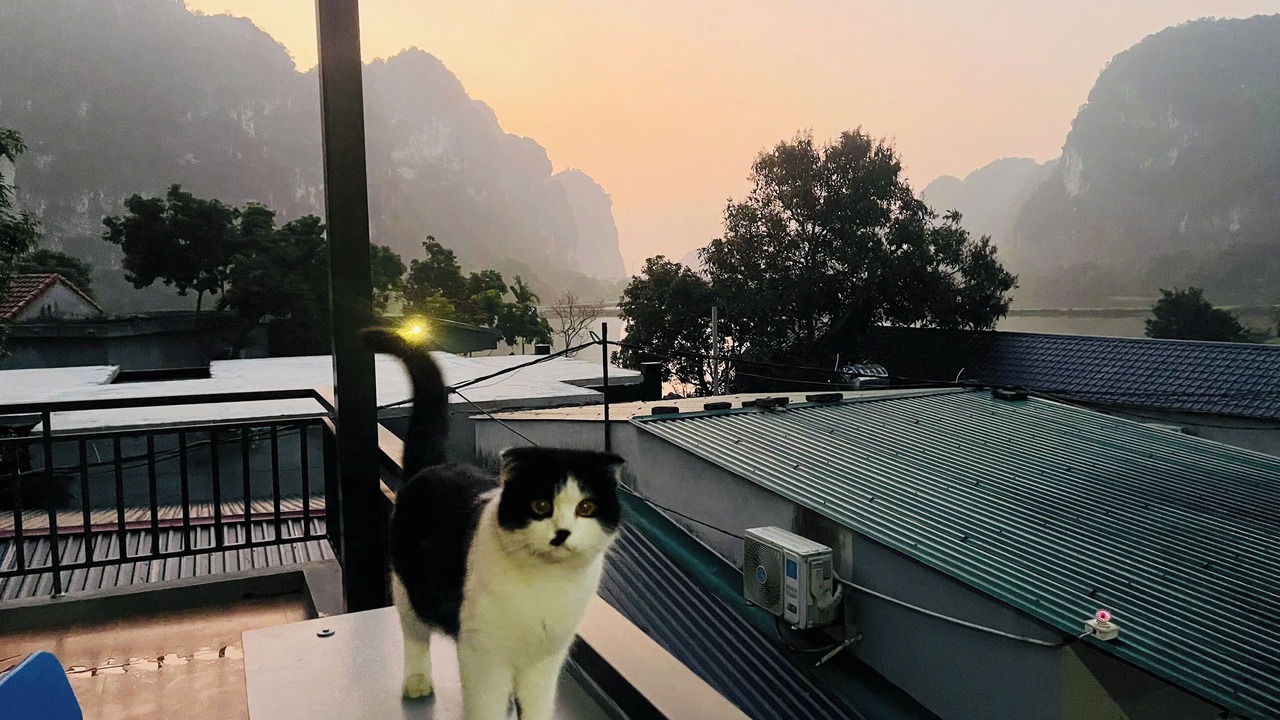 Photo of Others in Hoa Lu