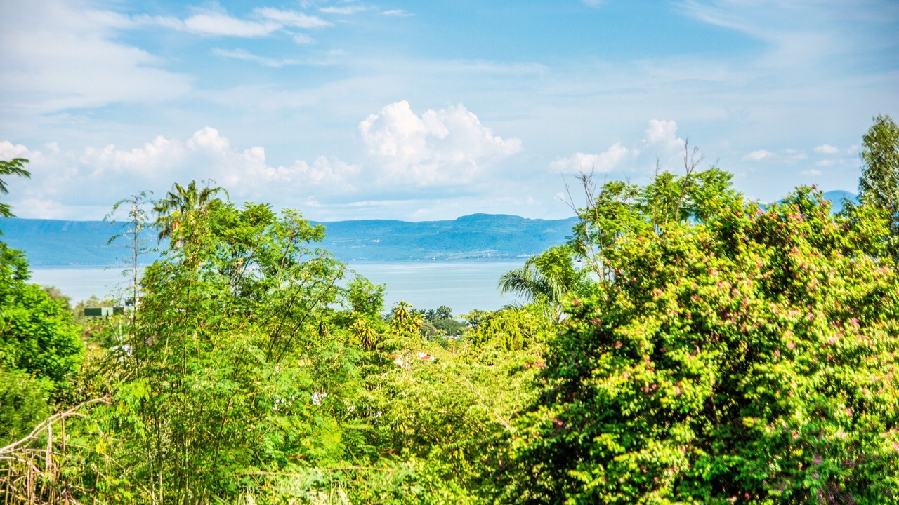 Photo of Outdoor in Ajijic