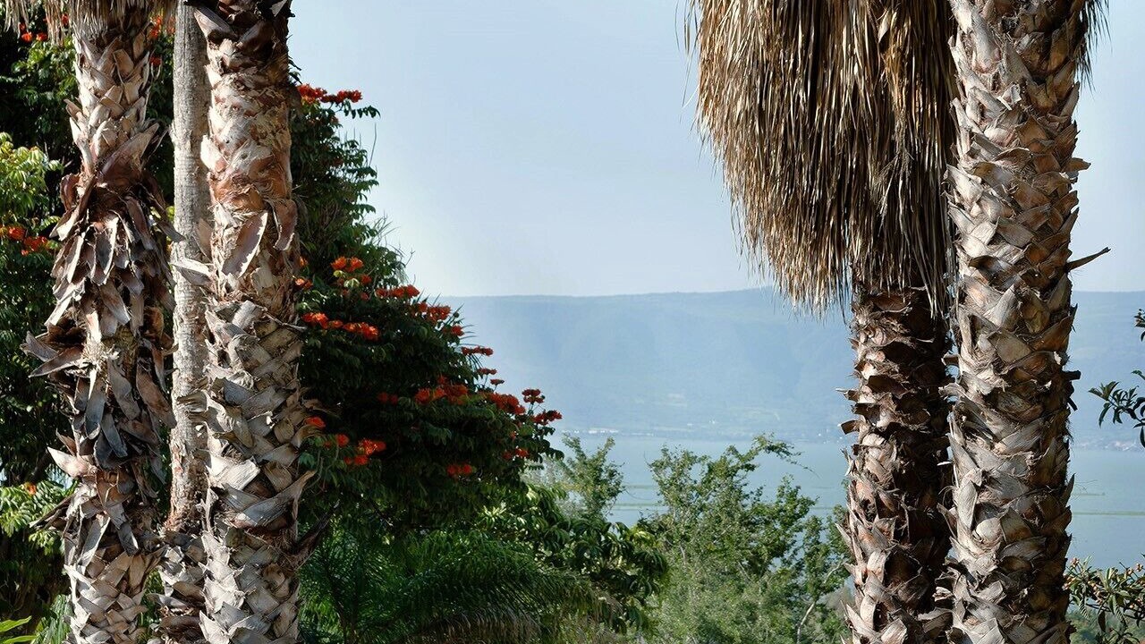 Photo of Outdoor in Ajijic