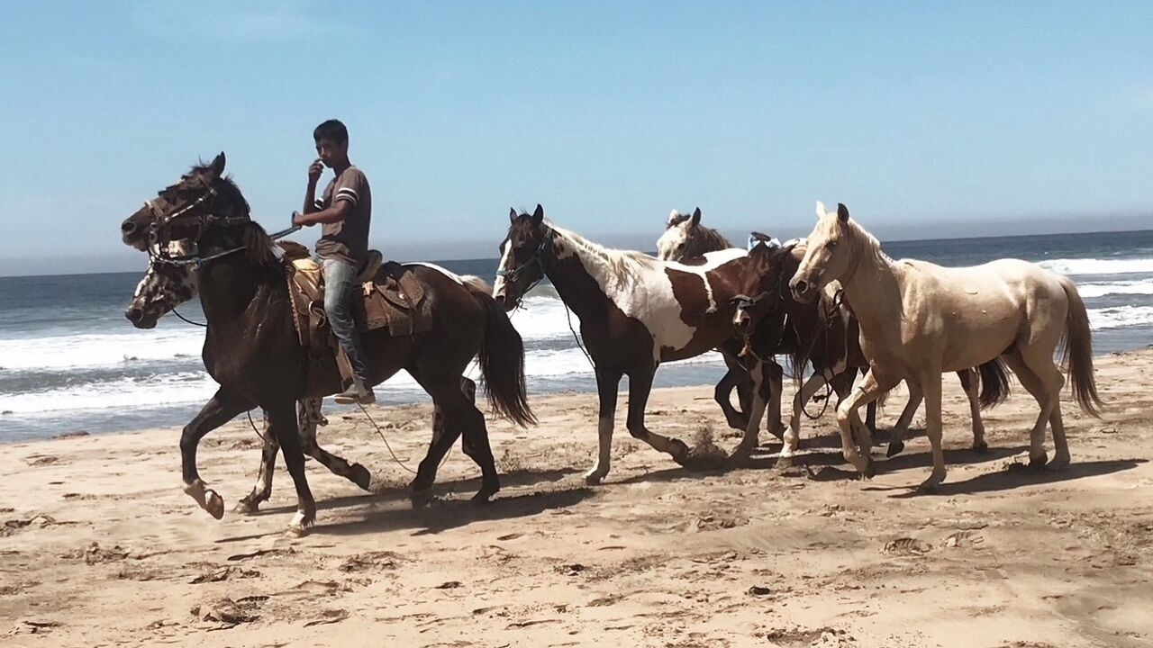 Photo of Outdoor in Troncones