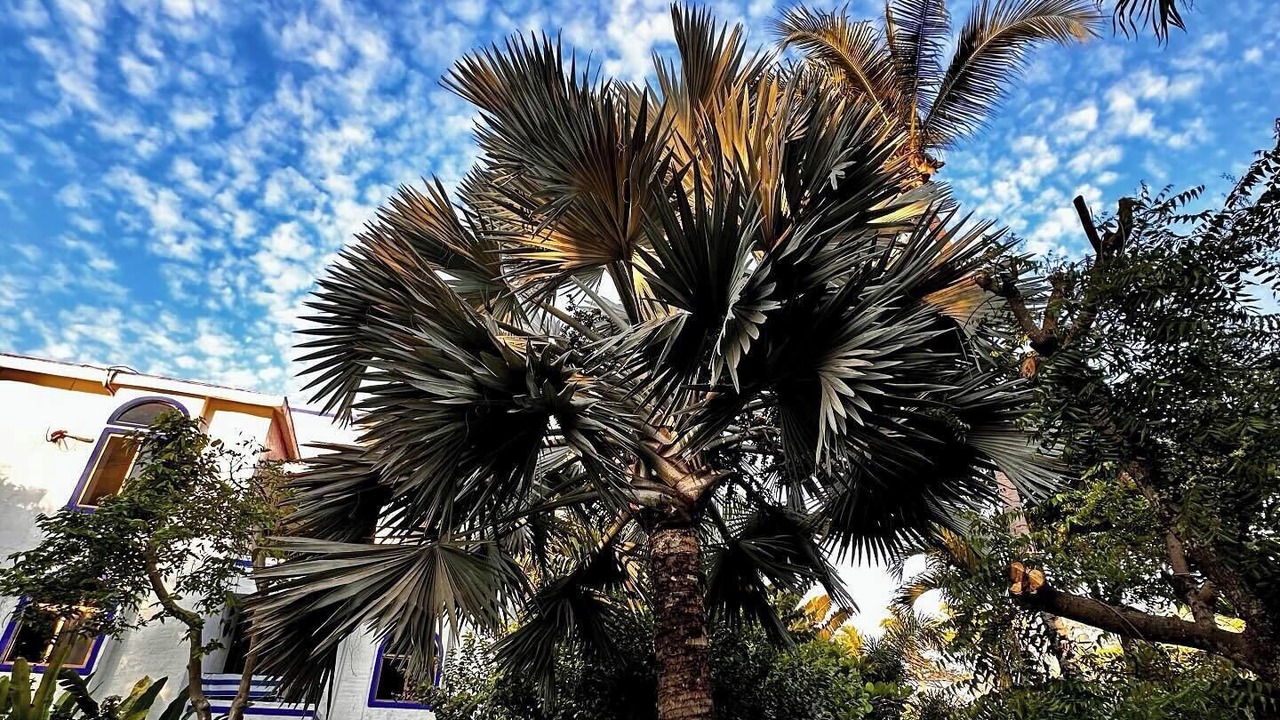 Photo of Outdoor in Centro