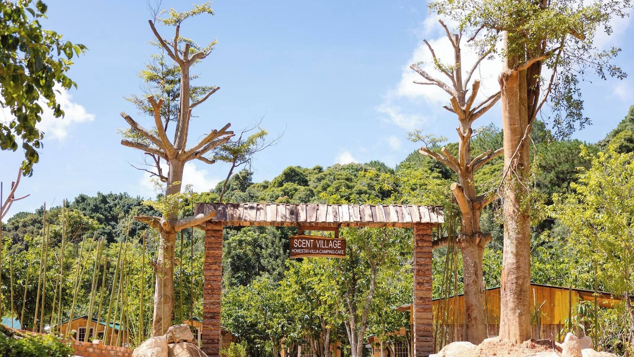 Photo of Others in Da Lat